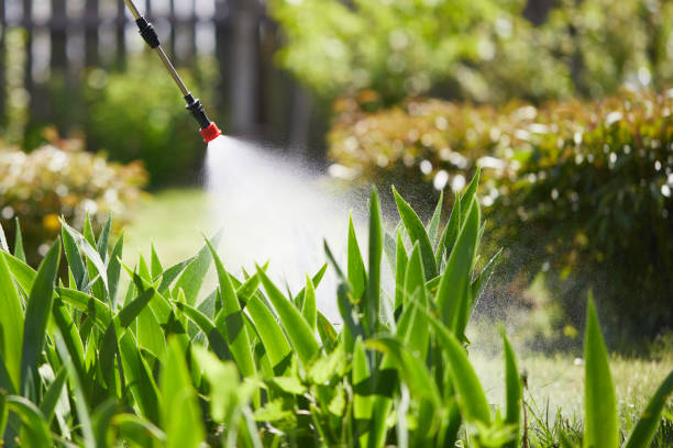 Void Injection for Cockroach Colonies in Parklawn