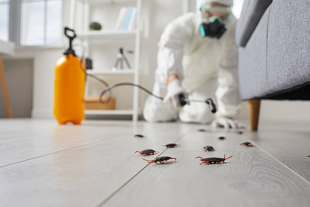 Commercial Kitchen Cockroach Control in Parklawn